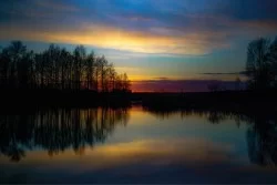 Carta da Parati Paesaggi e Natura Alba Tramonto Foreste e Alberi