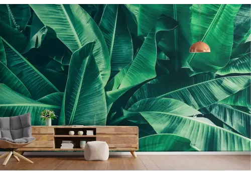 Carta da Parati foglie tropicali verde natura