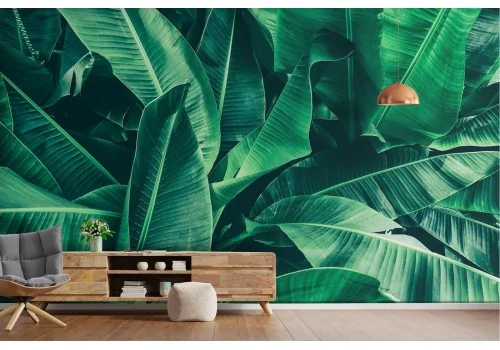 Carta da Parati foglie tropicali verde natura