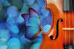 Carta da Parati Flora e Fauna animali