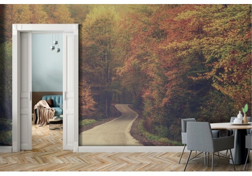 Autumn Forest Nature Wallpaper-0133