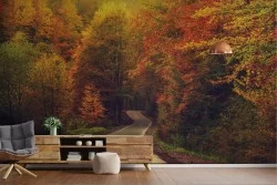 Autumn Forest Nature Wallpaper-0133