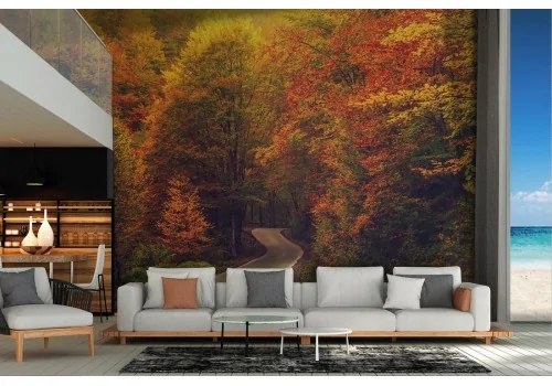 Autumn Forest Nature Wallpaper-0133 2