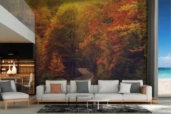 Wallpaper Forests and Trees