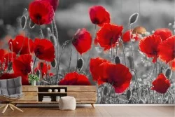 Wallpaper meadow red poppies nature
