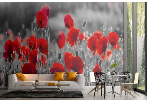 Wallpaper meadow red poppies nature 2