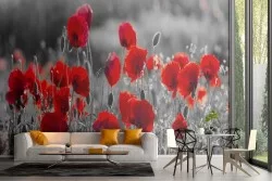 Wallpaper meadow red poppies nature