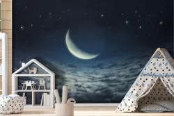 Carta da Parati Cielo notturno camera bambini-0153