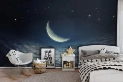 Night Sky Wallpaper Children's Room-0153