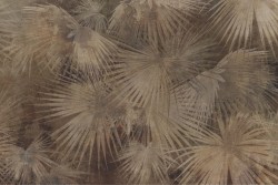 Carta da Parati Design e Stili Flora e Fauna Foglie Natura Tropicale Vintage