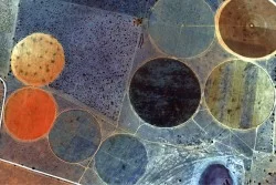 Wallpaper Design and Styles Abstract Geometric Vintage