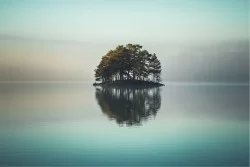 Wallpaper Flora and Fauna Landscapes and Nature Rivers Waterfalls Lakes Forests and Trees