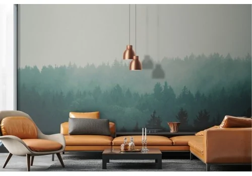 Carta da Parati bosco verde paesaggio natura con nebbia 2