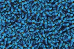 Flora and Fauna Animal Wallpaper