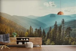 Wallpaper Forests and Trees