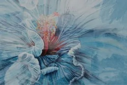 Flora and Fauna Flowers Wallpaper