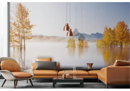 Carta da Parati paesaggio alberi nel lago natura autunno 2