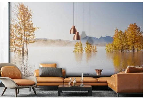 Carta da Parati paesaggio alberi nel lago natura autunno 2