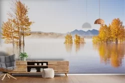 Wallpaper Rivers Waterfalls Lakes Trees Forests and Trees