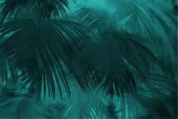 Carta da Parati Design e Stili Flora e Fauna Foglie Natura Tropicale