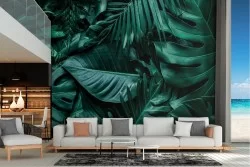Tropical large green leaves nature wallpaper