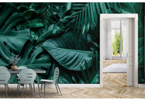 Tropical large green leaves nature wallpaper 2