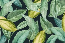 Carta da Parati Design e Stili Flora e Fauna Foglie Natura