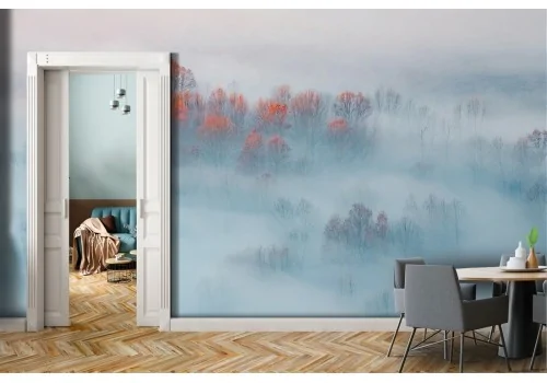 Forest in the fog nature landscape wallpaper-0317 2