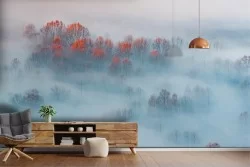 Carta da Parati bosco nella nebbia natura paesaggio-0317