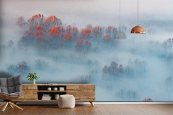 Forest in the fog nature landscape wallpaper-0317