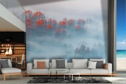 Wallpaper Forests and Trees