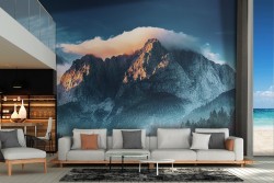 Wallpaper Forests and Trees Mountain