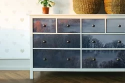 Wallpaper Forests and Trees