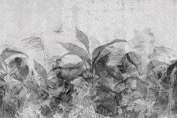 Carta da Parati Design e Stili Flora e Fauna Foglie Natura Vintage