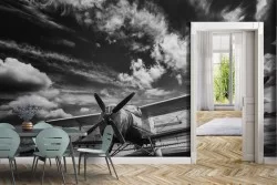 Carta da Parati Aeroplano fotografia bianco e nero-0372