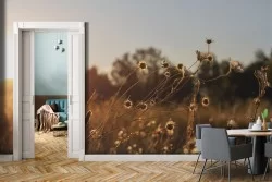 Wallpaper landscape meadow nature-0373