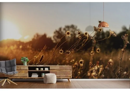 Wallpaper landscape meadow nature-0373