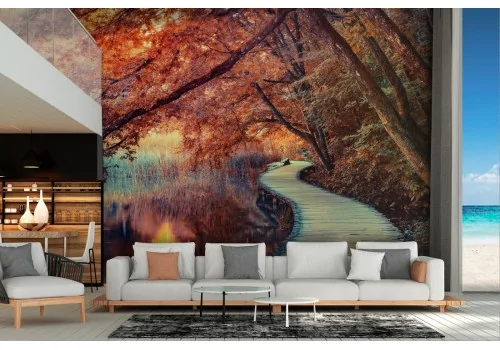 Wallpaper avenue in the forest landscape with lake