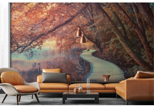 Wallpaper avenue in the forest landscape with lake 2