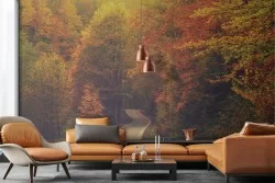 Wallpaper Forests and Trees