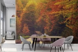 Wallpaper Forests and Trees