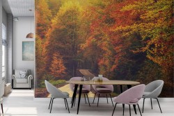 Carta da Parati Foreste e Alberi