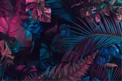 Wallpaper Design and Styles Flora and Fauna Modern Tropical Leaves