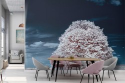 file://EkoFileServer/Archivio Clienti/Carta da parati/Foto ottimizzate per sito/foto_3/carta-da-parati-4411.jpg