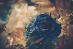 Carta da Parati Design e Stili Flora e Fauna Fiori Natura