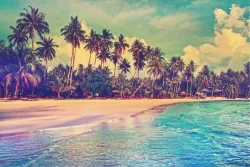 Wallpaper Landscapes and Nature Flora and Fauna Beach and Tropical Sea