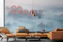 Carta da Parati bosco nella nebbia natura paesaggio-0317