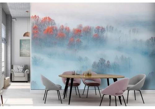 Wallpaper forest in the fog nature landscape-0317