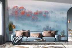 Forest in the fog nature landscape wallpaper-0317