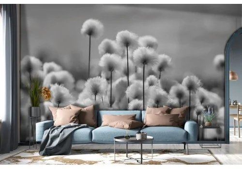 Wallpaper dandelion flowers nature-0353